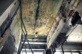 Best Crawl Space Mold Remediation  in Sherwood, AR